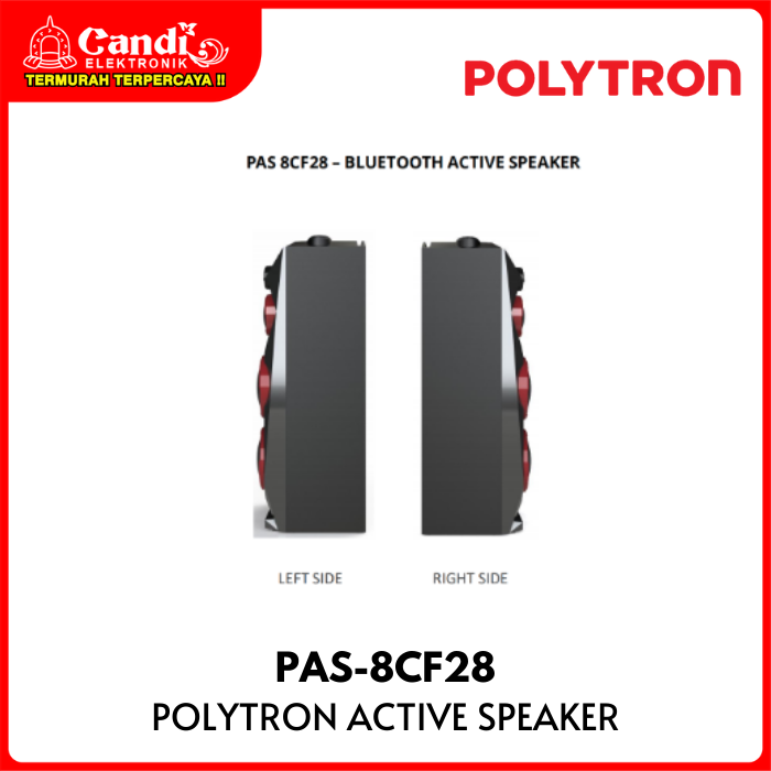 Polytron  Active Speaker